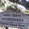 Ansel Adams Wilderness