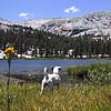 Sadler Lake - Isberg Pass